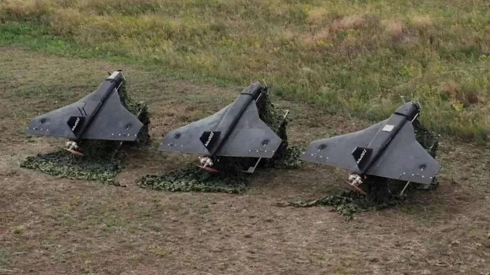 БПЛА «Гербера»