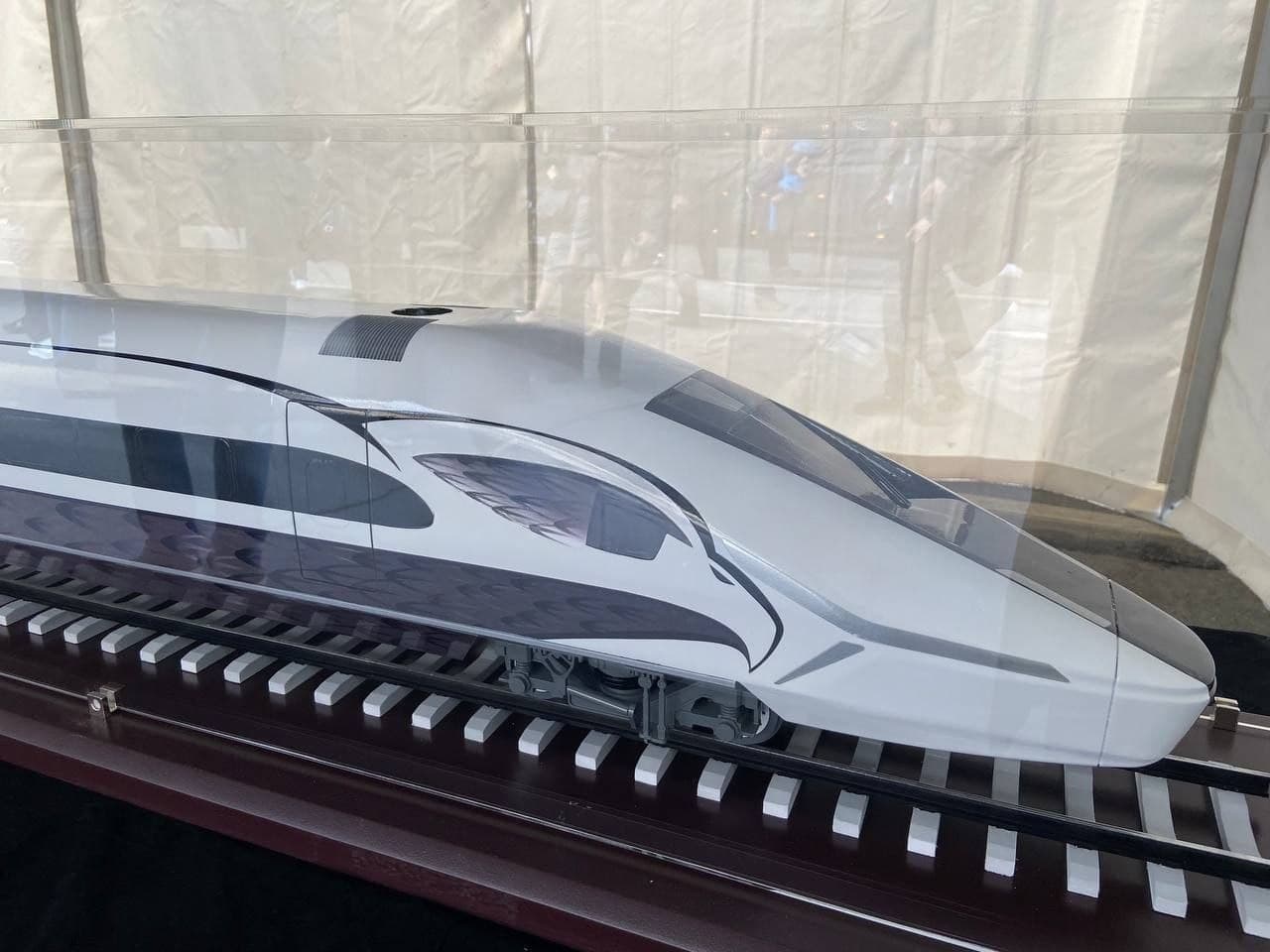 Train "White Gyrfalcon"