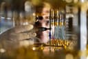 Superconducting diode for quantum electronics is being developed at MIPT