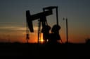Las autoridades de India exigieron informes a las refinerías sobre las compras de petróleo de Russia