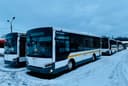 New VOLGABUS 429804 buses will enter routes in the Moscow Region