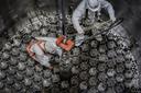 Rosatom propuso una nueva tecnología para el reprocesamiento de combustible nuclear gastado