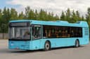 Russia May Purchase 4,000 Belarusian Buses to Renew Fleets in Regions