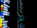 El número de ataques DDoS contra empresas en Rusia aumentó un 60% en el primer semestre de 2025