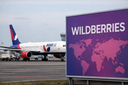 A Wildberries le atribuyeron negociaciones para la compra de Azur air: la aerolínea niega el acuerdo