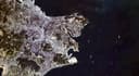 Scientific Breakthrough: Lobachevsky Satellite Captures Earth in Four Spectra for the First Time