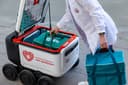 Роверы начали работать в больницах Москвы: доставляют лекарства и анализы