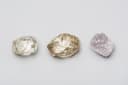 Diamante rosa por 56 millones de rublos: ALROSA presentó una piedra preciosa exclusiva en St. Petersburg