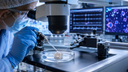 New Method to Accelerate Drug Development for Blindness Developed at MIPT