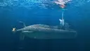 Project of the most powerful non-nuclear submarine "Amur 1650" with missile silos revealed by OSK