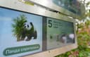 Где панда Катюша? В Московском зоопарке её теперь найдет искусственный интеллект