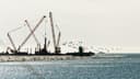 115 million tons per year: Rosneft launches the first stage of a port in Taimyr