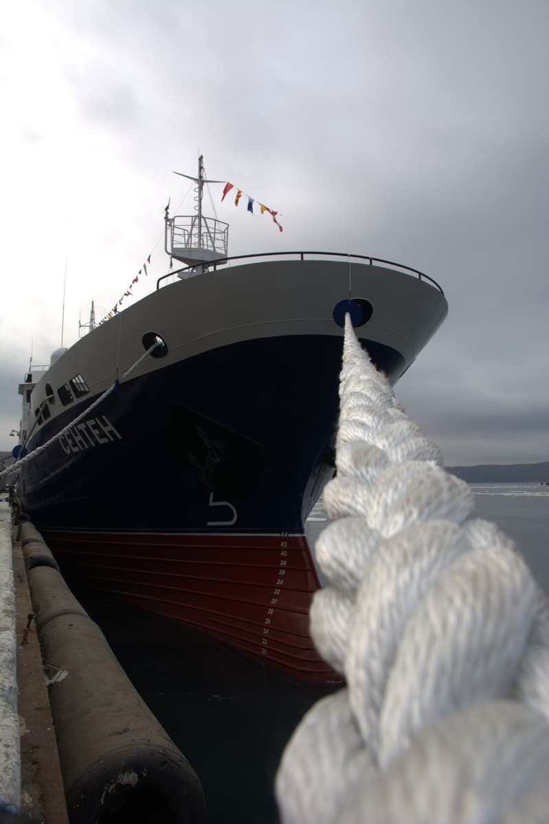 Crabber "Senten"