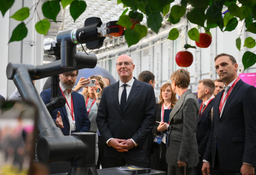 Для виноградников Крыма и Кубани: робота для сбора урожая представили на Конгрессе молодых учёных в Сочи