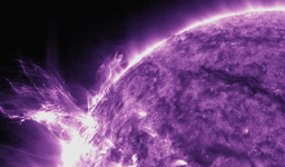 «Полное безумие» — астрономы в недоумении: мощнейшая вспышка произошла на Солнце 1 декабря