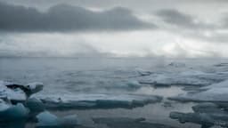 В МФТИ создали нейросеть, которая прогнозирует сильные ветры в Арктике