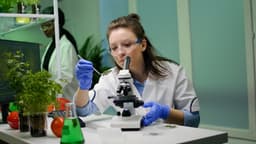 Russian and Chinese Scientists Create Genetic Map of Frost Resistance of Domestic Tea