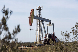 Биоразлагаемую технологию для повышения нефтеотдачи разработали учёные СФУ