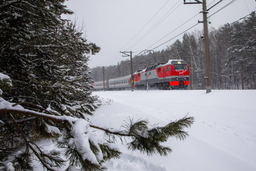 РЖД увеличили пассажиропоток до 1,31 млрд человек в 2025 году
