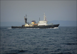 Russian tugboat "Alatau" crew rescues sailor after two days adrift in the South China Sea
