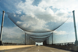 Cаморегенерирующуюся сеть «Дарвин» против дронов-камикадзе создали российские инженеры