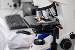 Поможет восстанавливать спинной мозг человека: новый биокарсас создали в университете «Сириус»