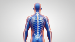 Vertebral Implant Resource Made of Titanium Nickelide Improved by MAI Engineers