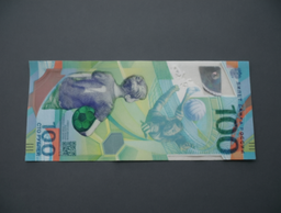 100 rubles that cost as much as an apartment: a rare 5 million ruble banknote put up for sale in Novosibirsk