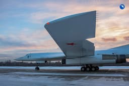 При производстве Ту-160 «Белый лебедь» отказались от иностранных станков