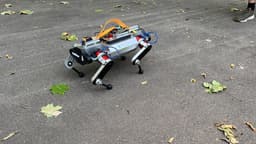 Российский робот-собака из МГУ отправится в школы и университеты