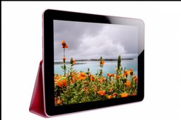 Тотальная планшетизация - российским бюджетникам закупят планшеты на  67 млрд рублей