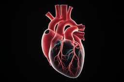 Россия начнет производить собственные биопротезы митрального клапана сердца