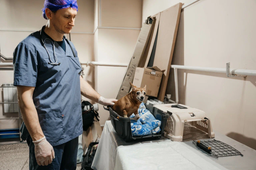 Экспериментальная нейтронозахватная терапия на реакторе ТПУ: новые горизонты в борьбе с раком у животных