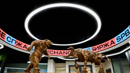 Торги на СПБ Бирже приостановили из-за технического сбоя [Обновлено]