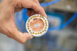 Разработан новый российский метод быстрой трехкубитной операции на флаксониумах