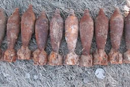 У побережья Калининградской области обезвредили более 200 боеприпасов времен ВОВ