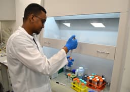 Отличит раковые клетки от здоровых: Россия первой в мире разработала «умную» ДНК-конструкцию