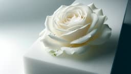 Запах розы из пенопласта: в Перми разрабатывают новую технологию получения ароматов