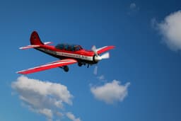 Modernized Yak-52 to be Sent to Combat Drones