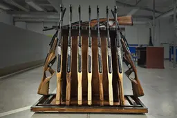 «Охотничьи собаки»: «Калашников» выпустил лимитированную серию винтовок МР–512 