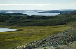 Satellites spotted a "mysterious tunnel" at Russia's nuclear test site in Novaya Zemlya, linked to Burevestnik missile tests