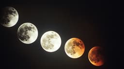 Moon to Cover Neptune, Saturn, and Pleiades: Six Lunar Eclipses Expected in October