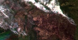 Cosmonauts Aboard the ISS Observe Forest Ecosystems on Earth