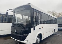 Новые автобусы КАМАЗ-4280 Vega поступили к дилеру в Москве