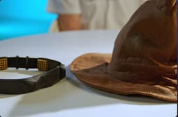 Как в «Гарри Поттере»: в Москве создали «распределяющую шляпу» для выбора профессии и учебного заведения