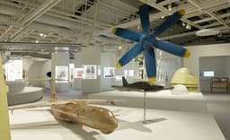 Достижения русской инженерной школы: в Петербурге открылась выставка об истории Ту-144, Ту-214, Ил-76