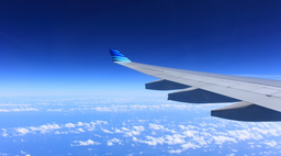 Президент России потребовал от авиакомпаний прекратить занижение льгот на билеты