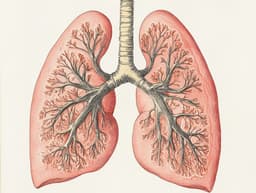 Сеченовский университет представил нейросеть для улучшения диагностики рака легких