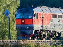 Updated Rules for Transporting Animals on Russian Trains Come into Effect on January 1, 2025