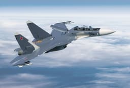 Radio France Internationale: Russia Received 6 Elephants from Myanmar in Su-30SME Deal